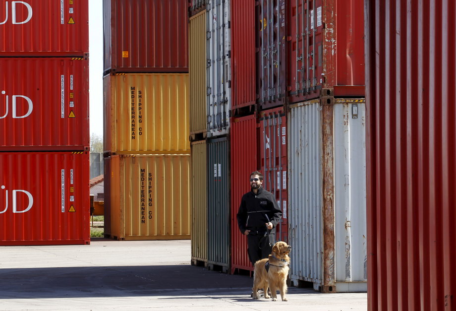 An official from the AFIP tax agency and his sniffer dog by containers loaded with grains at the port of Rosario, Argentina, September 10, 2015.