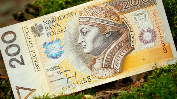 złoty, złotówki, waluta, las