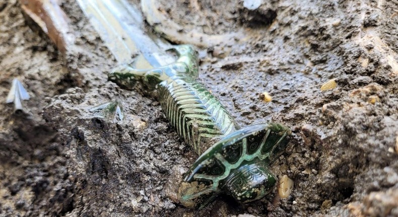 This more than 3,000-year-old bronze sword has been recovered from a burial site in Germany.Bavarian State Office for the Preservation of Monuments