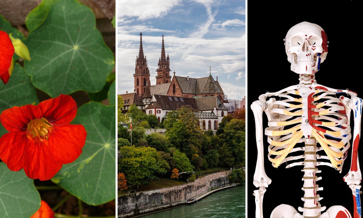 Prosty quiz z wiedzy ogólnej. Mniej niż 15/15 to powód do wstydu