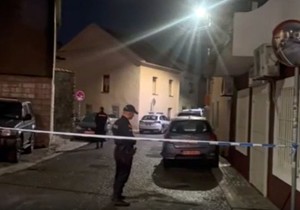 crna gora policija noćna