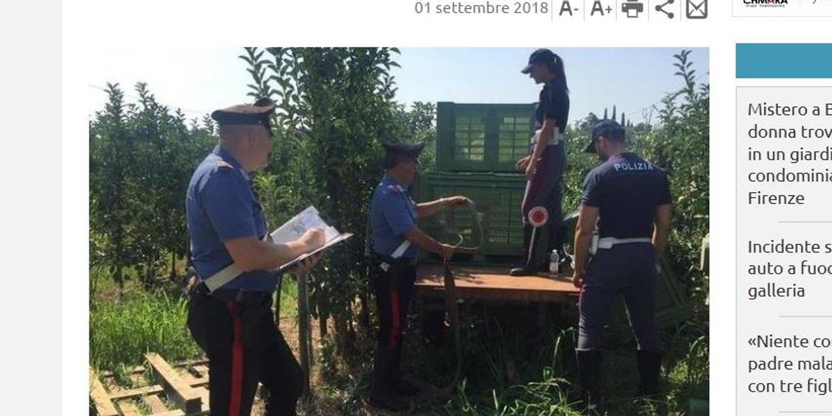 Więził Polkę w skrzyni na jabłka. Opowiedział dlaczego to zrobił