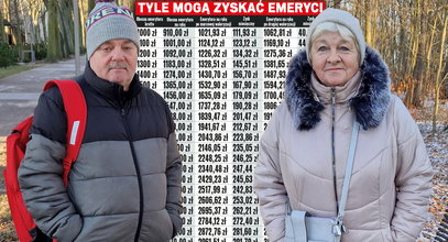 Druga waloryzacja emerytur od Tuska. Nie wszyscy będą zadowoleni [TABELA]