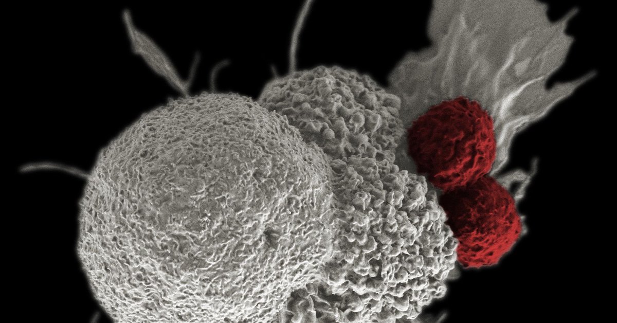 The new molecule may be a breakthrough in cancer treatment