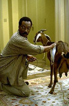 Dr Dolittle - kadr