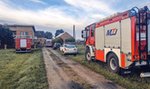 Tragedia w Wielkopolsce. Stado byków stratowało rolnika