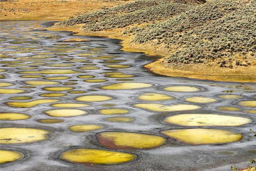 Spotted Lake