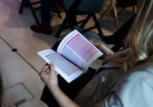 Siva knjiga inovacija