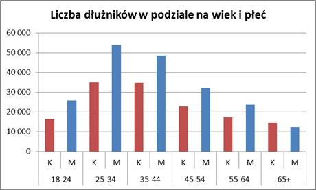 BIG liczba dłużników płeć