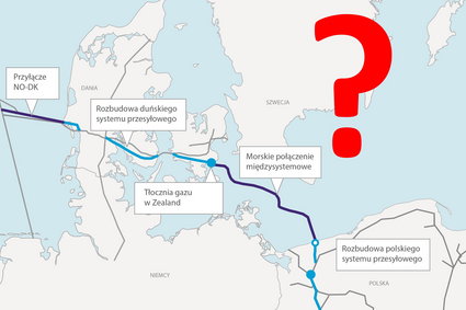 Myszy i nietoperze blokują Baltic Pipe. 5 rzeczy, które trzeba wiedzieć o kluczowej inwestycji Polski