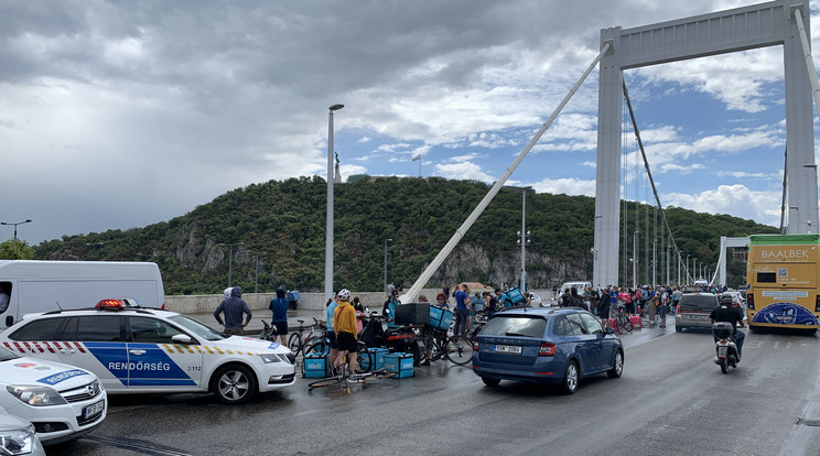 A kata módosítás miatt tüntetők elfoglalták az Erzsébet hidat is / Fotó: Balázs Barnabás
