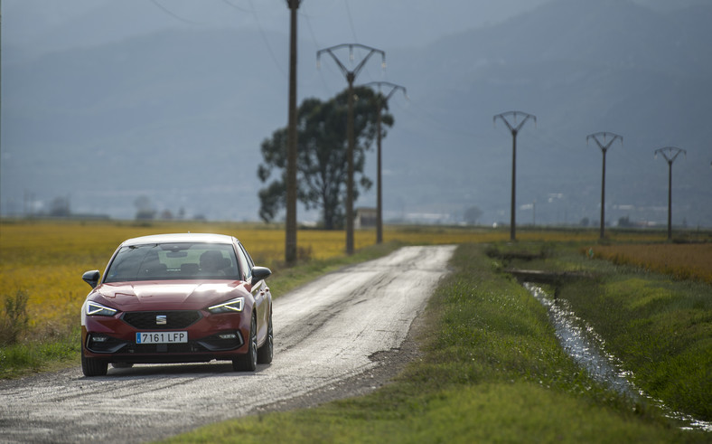 Seat będzie budował swoje auta z... łuski ryżowej