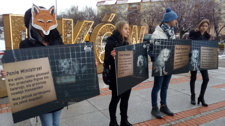 Protest przeciwko hodowli zwierząt na futra