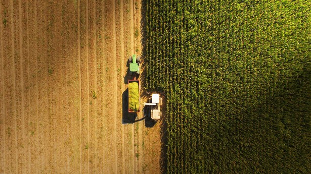 Unijna polityka klimatyczna negatywnie wpływa na rolnictwo