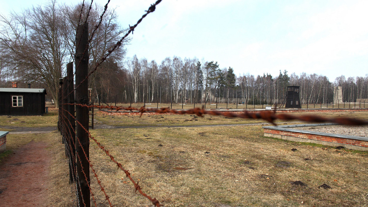 Jeszcze w kwietniu ma rozpocząć się kolejny etap przeglądu archeologicznego terenu b. obozu koncentracyjnego Stutthof. Pierwsze prace przeprowadzono tu w ubiegłym roku: zdecydowano się na nie po znalezieniu w lesie przedmiotów mogących mieć związek z b. obozem.