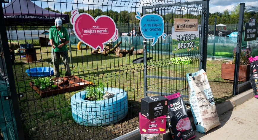 Psy w schronisku mają nowe wybiegi