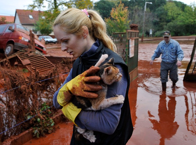 Toksyczna maź zabija na Węgrzech