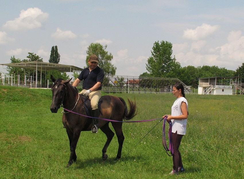 Sremska Mitrovica, hipodrom: Ovo je jedna od najlepših ergela u Srbiji