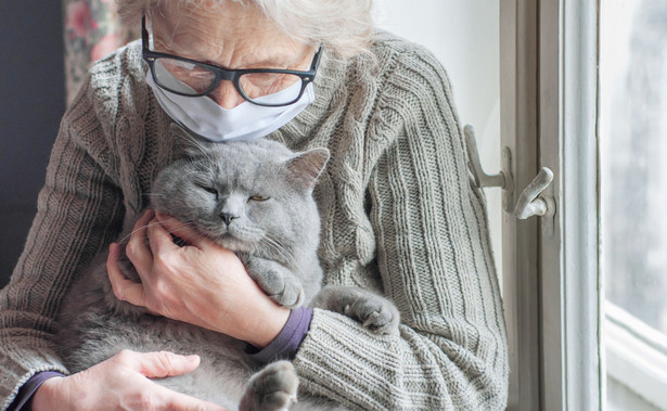Starsza kobieta trzyma kota, babcia