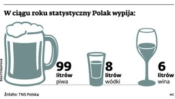 Rząd nie zgadza się na sprzedaż alkoholu w sieci