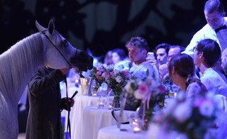 KOWR: Stadnina koni w Janowie Podlaskim nie straciła płynności finansowej