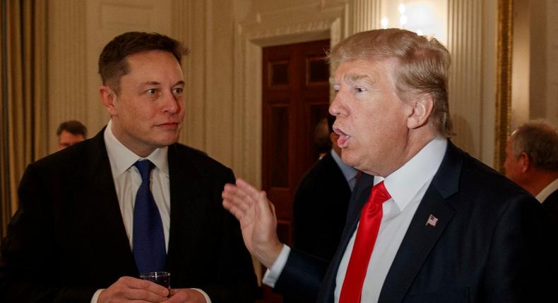 elon musk donald trump