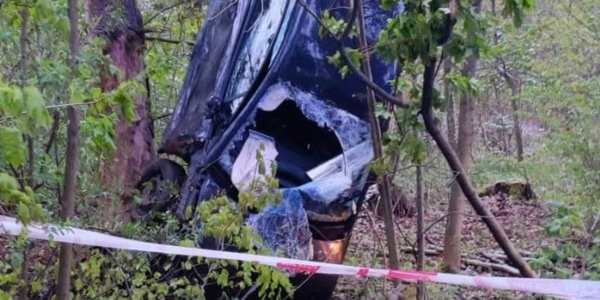Zatrważający wypadek w Koszynie na Dolnym Śląsku! Auto stanęło dęba i zawisło na drzewie.