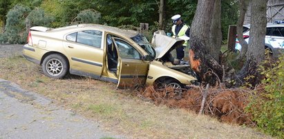 Roztrzaskane volvo na drzewie. Policja publikuje wstrząsające nagranie