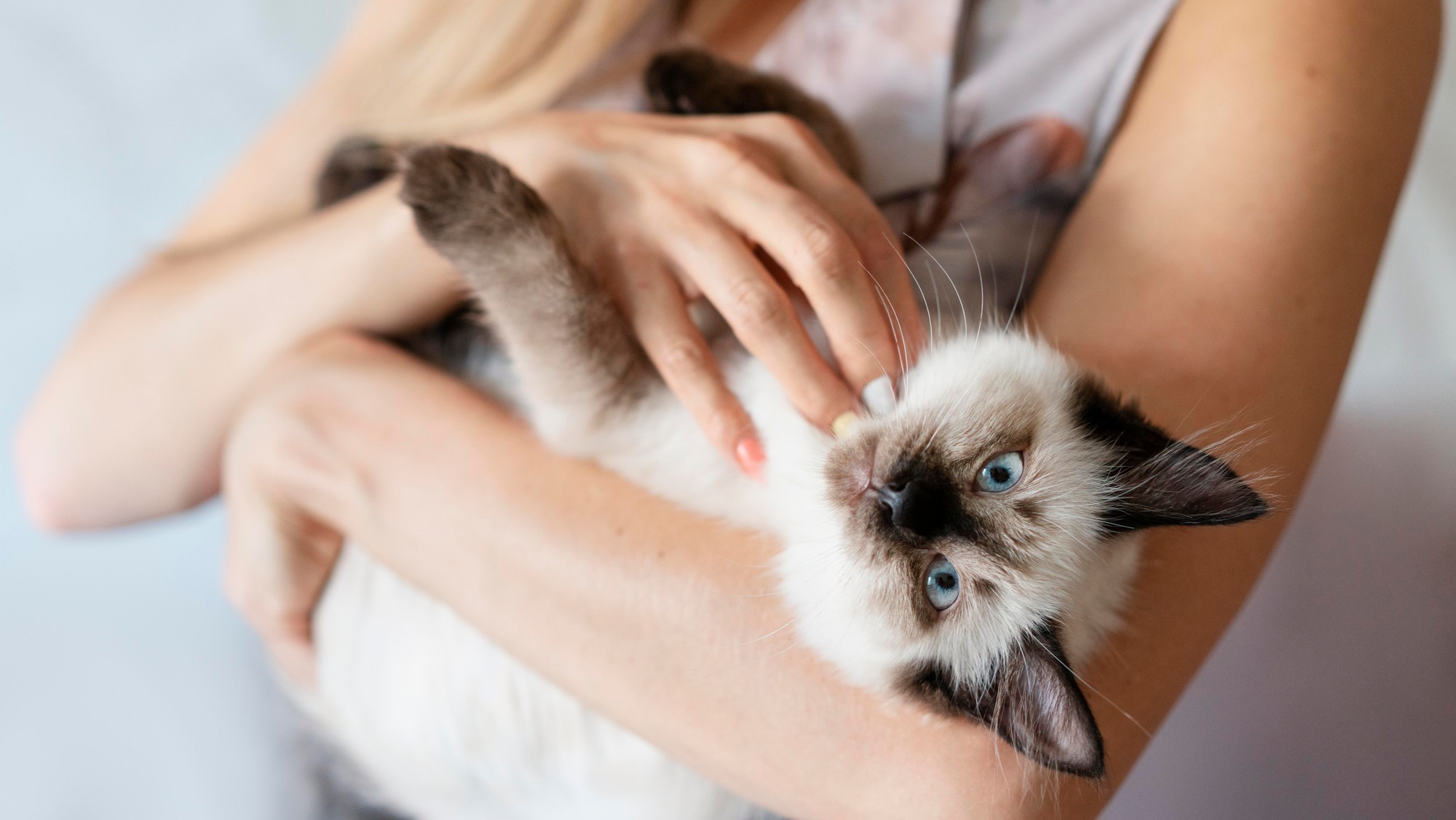 Ste obľúbencom svojej mačky? 