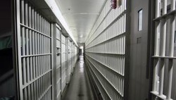 Polska rajem dla azjatyckiej mafii. Codziennie milion dolarów