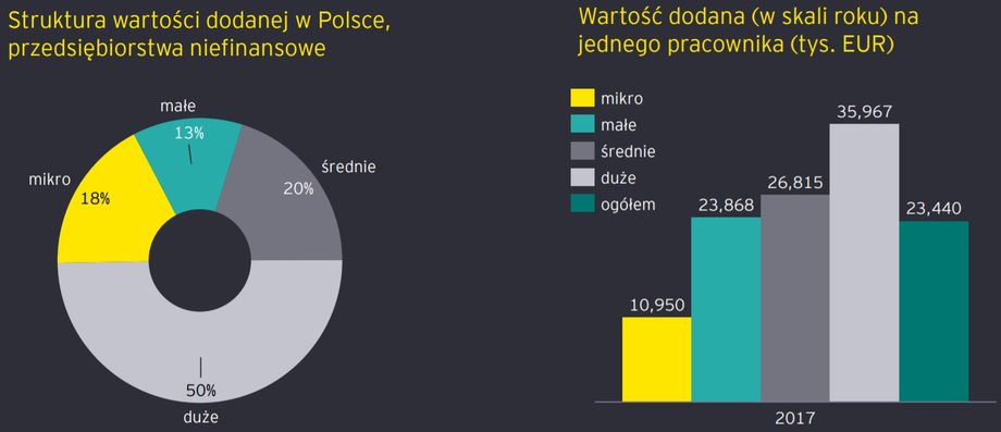 Duże firmy w Polsce generują połowę wartości dodanej przedsiębiorstw niefinansowych