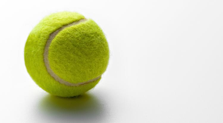 Egy teniszlabdával többre mész, mint a padló súrolásával. Fotó: Getty Images