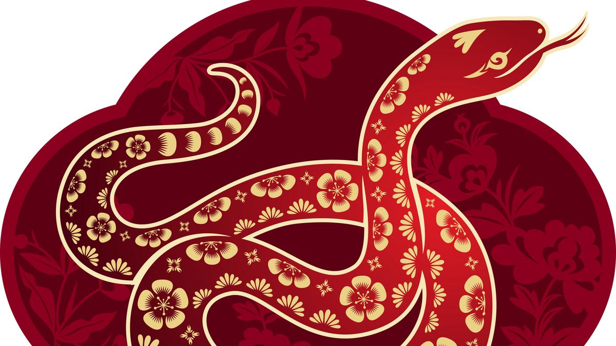 Kínai horoszkóp-előrejelzés februárra a Kígyóknak: költözéssel, felújítással biztos alapot adhatsz az életednek, megszerzed azt a nem kis pénzt, amire szükséged van