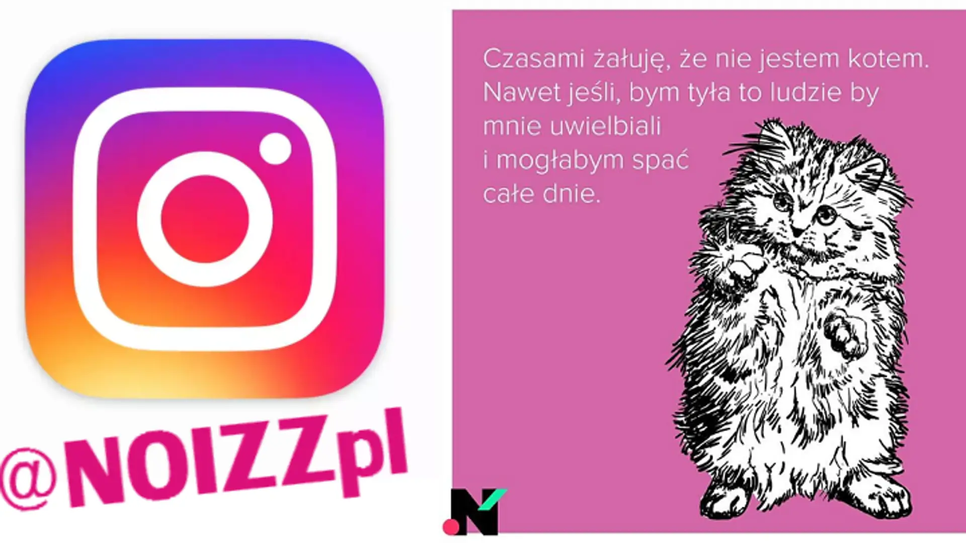 11 powodów, dla których powinieneś obserwować NOIZZ na Instagramie