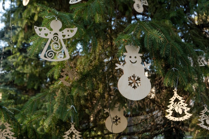 Novogodišnja humanitarna bašta