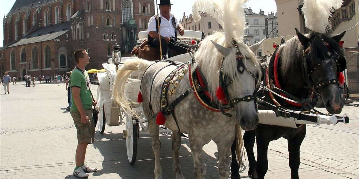 Dorożki wróciły na Rynek