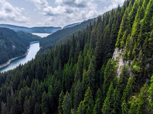 Upały na Syberii uwalniają duże ilości metanu. Może mieć to negatywny wpływ na klimat Ziemi