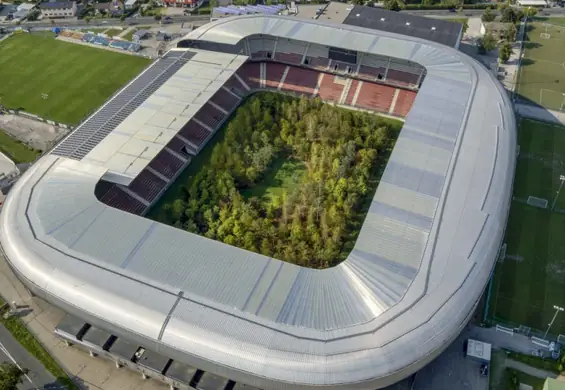 Stadion z Euro 2008 zamieniony w leśne ZOO. Będzie otwarty za darmo