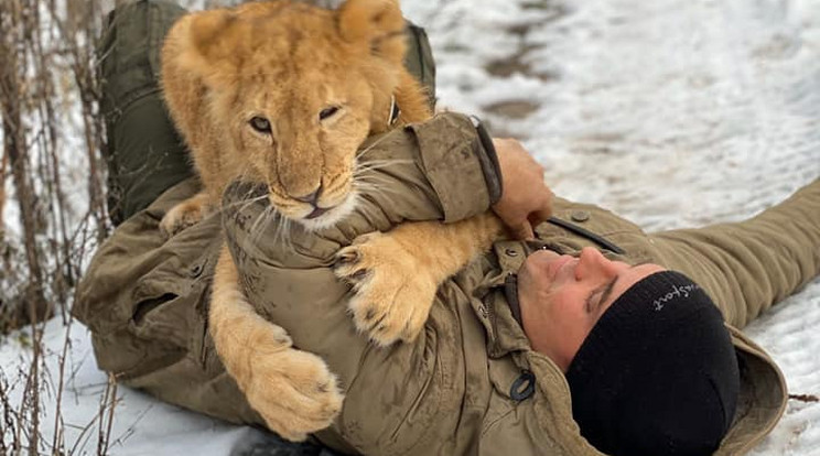 Nara lelkesen birkózik a gondozójával, még a hó is bejön neki 