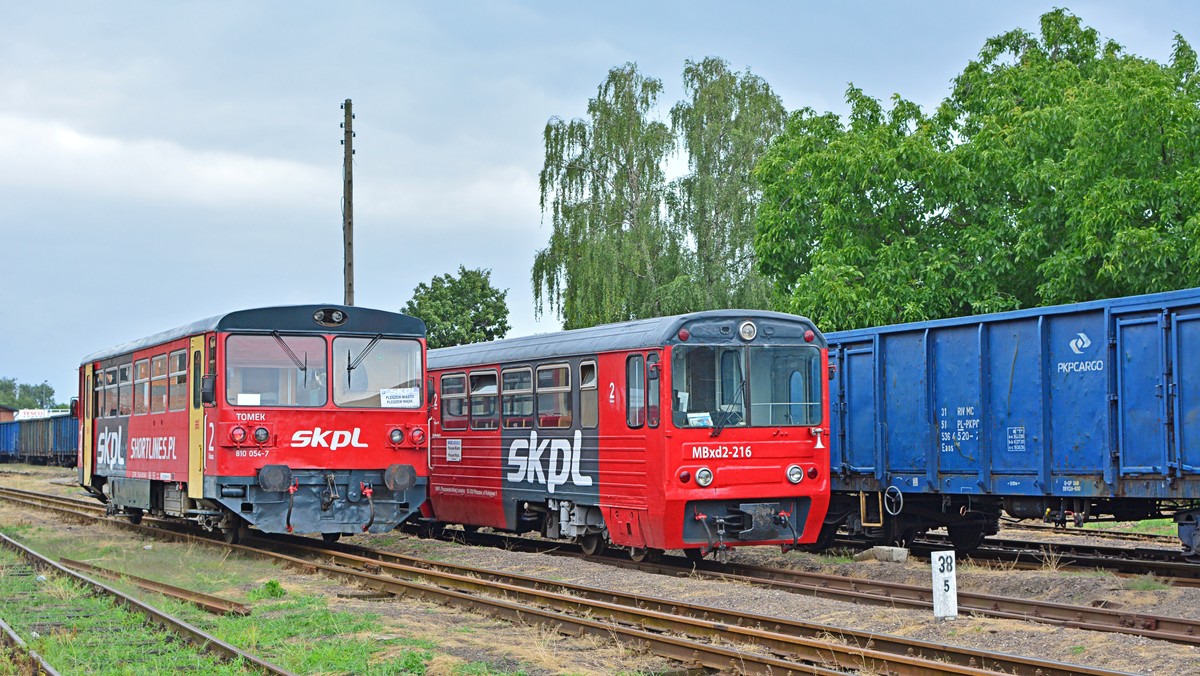 Pleszew. Zniszczono jedyną w Europie trójkołową kolej szynową