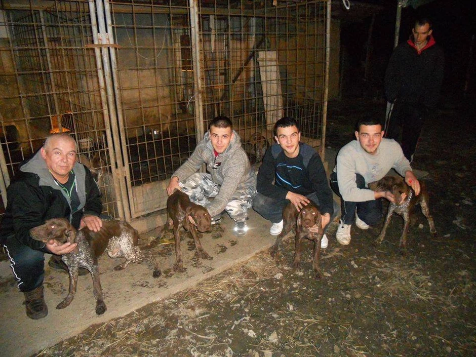 Građani koji su se odmah odazvali i udomili nekoliko pasa