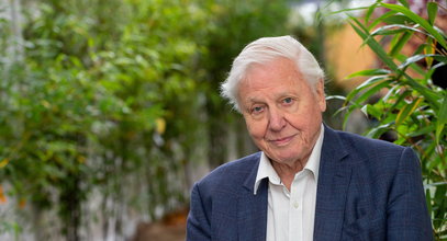 "Nie sądziłem, że kiedykolwiek nim będę". David Attenborough zdradza sekret swojej długowieczności. Na talerzu unika tego jak ognia 