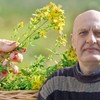 Kantarion se pokazao kao izuzetno koristan u lečenju različitih bolesti, kaže Marko Nestorović