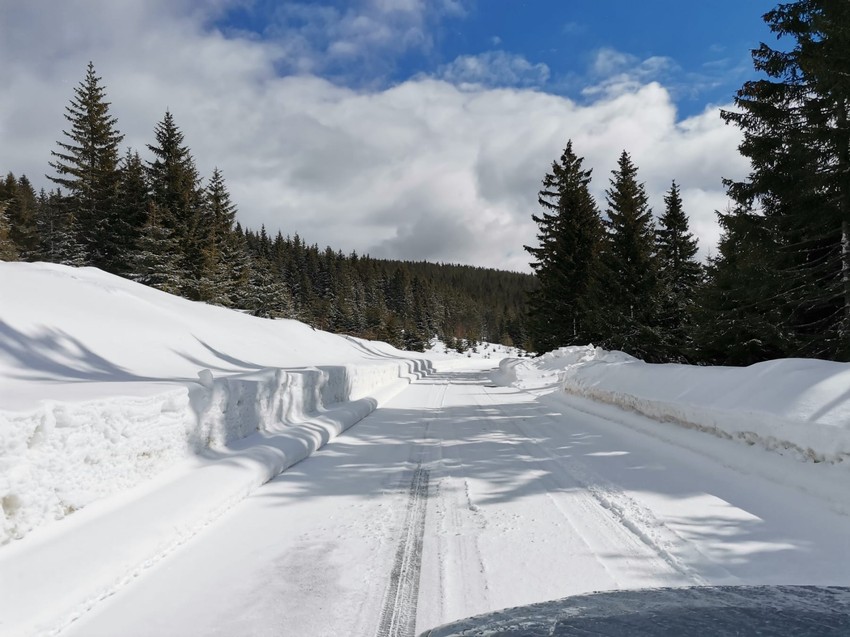 Nestvarni prizori na planini Goliji