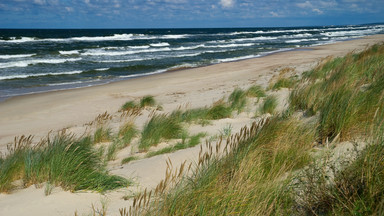 Krynica Morska - kamery na plaży