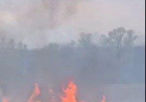 Požar niskog rastinja između Pojata i Kruševca