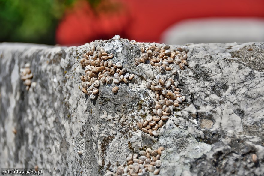 Stecci / nekropolia Radimlja, Stolac