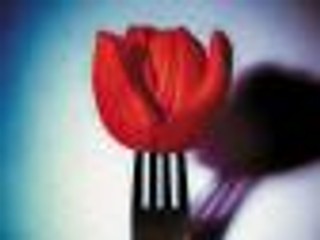 Katarzyna Groniec 'Wiszące ogrody' - recenzja