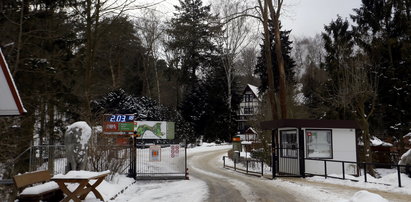 Skandal w gdańskim zoo. Jeden z pracowników podejrzany o molestowanie seksualne