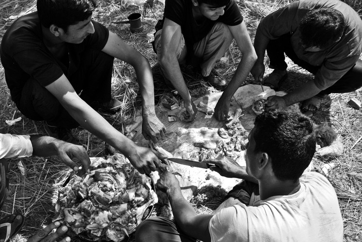 Uchodźcy w Suboticy, Serbia